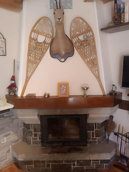 Pena Telera Petfriendly - Arafita Apartamentos El Pueyo de Jaca Exteriér fotografie