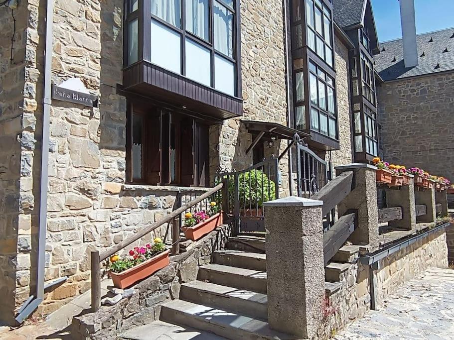 Pena Telera Petfriendly - Arafita Apartamentos El Pueyo de Jaca Exteriér fotografie